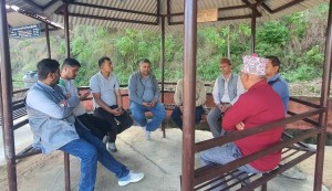 धारपानीलाई धार्मिकसँगै कलाको ‘हब’ बनाउन नेपाल ललितकला प्रज्ञा प्रतिष्ठानको सुझाव