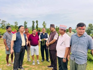 दंगीशरण गाउँपालिकामा हरियाली अभियान: "बिरुवा रोप्नु मात्र होइन, जोगाउनु मुख्य जिम्मेवारी"