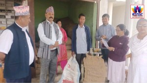 दंगीशरण गाउँपालिकाद्वारा किसानहरूका लागि निशुल्क बेसारको बिउ बितरण