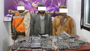 दाङको घोराहीमा साढे २९ किलो चरेशसहित तीन जना पक्राउ