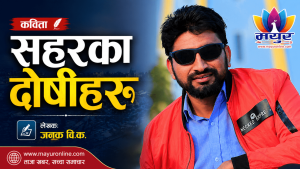 सहरका दोषीहरू