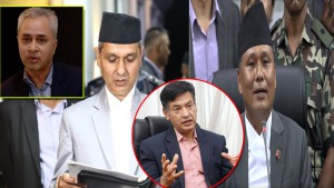 विद्युत् प्राधिकरणको कार्यकारी निर्देशकबाट हितेन्द्र हटाइए,कार्यकारी निर्देशकमा मनोज सिलवाल नियुक्त