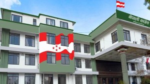 कांग्रेस केन्द्रिय समिति बैठक स्थगित