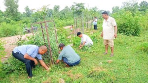 राप्तीमा श्रमदानमार्फत विरुवाको संरक्षण सुरु
