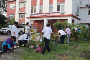 राप्ती गाउँपालिकाद्वारा संविधान दिवसको अवसरमा कार्यालय परिसर सरसफाई