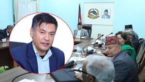 विद्युत प्राधिकरणको कार्यकारी निर्देशकमा हितेन्द्र शाक्य नियुक्त