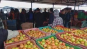 होलेरीमा कृषि हाटबजार २१ गतेदेखि  लाग्दै 