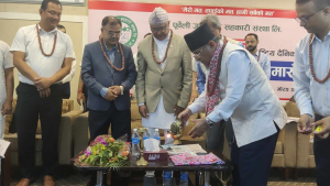 निरंकुशताको कुरा गर्छ भने त्यो आन्दोलन होईन, अपराध हो: प्रचण्ड