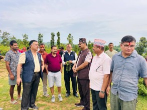 दंगीशरण गाउँपालिकामा हरियाली अभियान: "बिरुवा रोप्नु मात्र होइन, जोगाउनु मुख्य जिम्मेवारी"