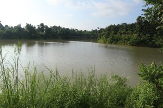 घोराही उपमहानगरभित्र थपिए ४३ वटा  कृत्रिम जलाशय 