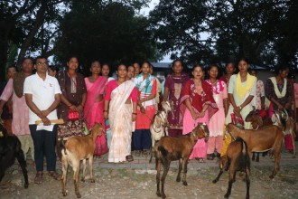 राप्ती गाउँपालिकाद्वारा मुक्त कमैया कम्लहरीको आयआर्जन वृद्धि गर्न बाख्रा वितरण