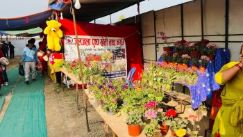 लुम्बिनी प्रदेश स्तरिय महोत्सव स्थानीय उत्पादनलाई प्राथमीकता 