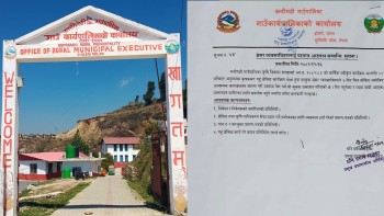 किसानको गहुँ पालिकाले ५० प्रतिशत अनुदानमा थ्रेसिङ गरिदिदै