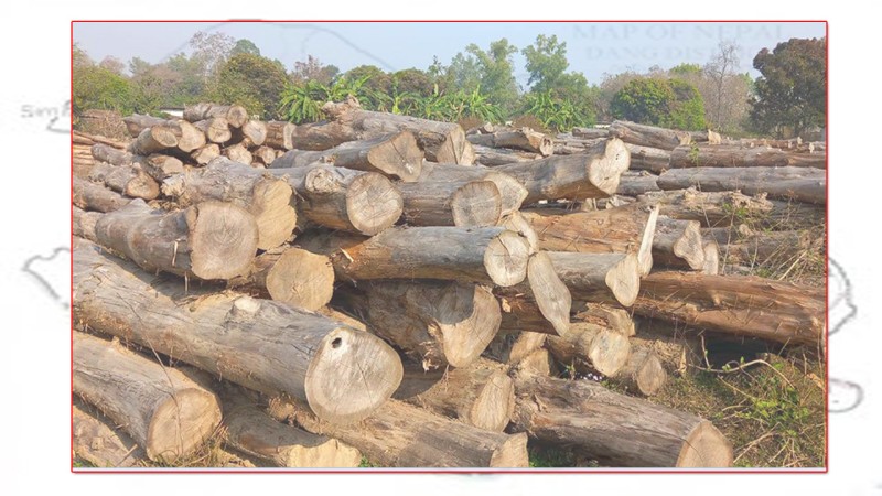 दाङमा वन पैदावारबाट ७ करोडभन्दा बढी राजस्व सङ्कलन