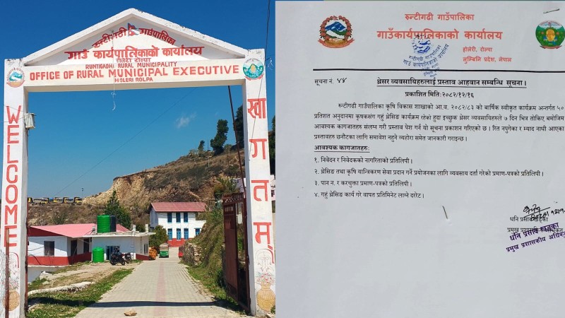 किसानको गहुँ पालिकाले ५० प्रतिशत अनुदानमा थ्रेसिङ गरिदिदै