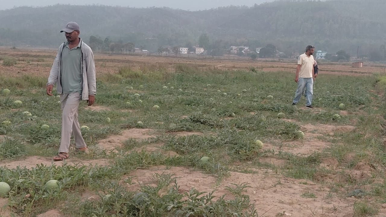 WhatsApp-Image-2026-05-17-at-07.12.59-(2)-1779010247.jpeg